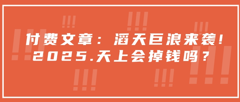 付费文章：滔天巨浪来袭！2025天上会掉钱吗？-玖玖资源网