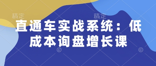 直通车实战系统：低成本询盘增长课，让个人通过技能实现升职加薪，让企业低成本获客，订单源源不断-玖玖资源网