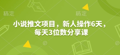 小说推文项目，新人操作6天，每天3位数分享课-玖玖资源网