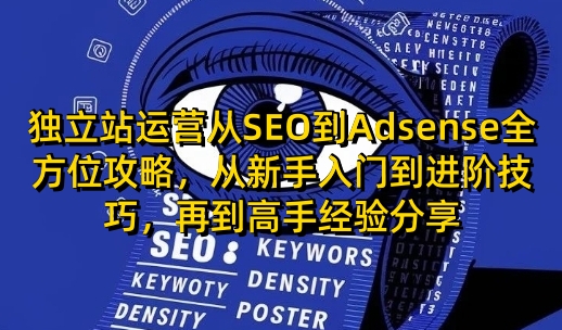 独立站运营从SEO到Adsense全方位攻略，从新手入门到进阶技巧，再到高手经验分享-玖玖资源网