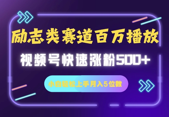 励志类赛道也能百万播放，快速涨粉500+视频号变现月入5位数-玖玖资源网