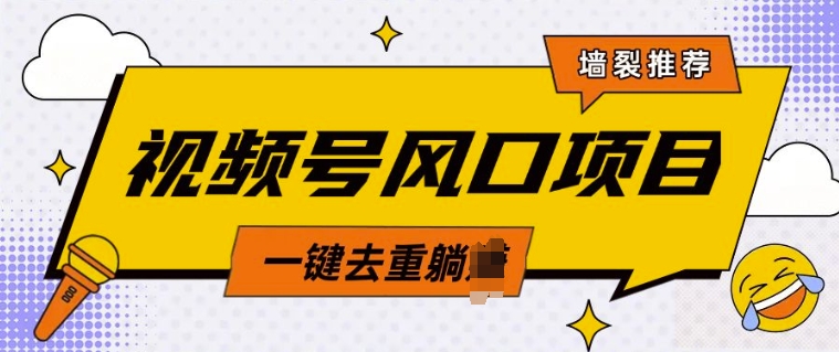 视频号风口蓝海项目，中老年人的流量密码，简单无脑，一键去重，轻松月入过W-玖玖资源网