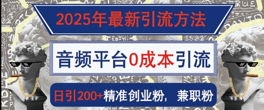 2025年最新引流方法，音频平台0成本引流，日引200+精准创业粉-玖玖资源网