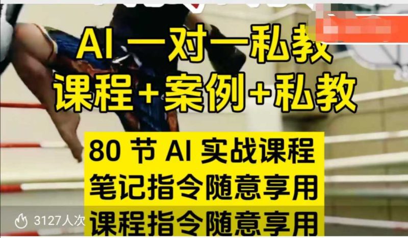 AI指令实战课，课程+案例，80节AI实战课程，笔记指令随意享用，课程指令随意享用-玖玖资源网