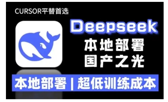 2025年deepseek R1 大型模型本地安装部署(文件+教程)本地部署，超低训练成本-玖玖资源网