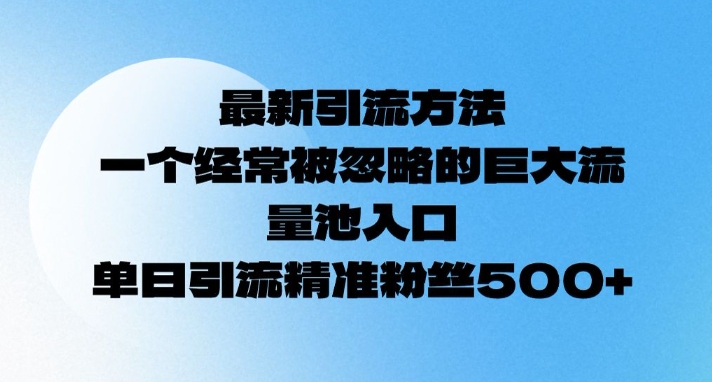 最新引流方法，一个经常被忽略的巨大流量池入口，单日精准引流粉丝500-玖玖资源网