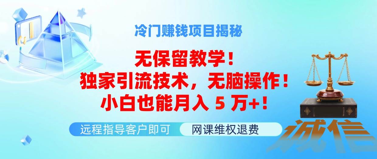 冷门赚钱项目无保留教学！独家引流技术，无脑操作！小白也能月入5万+！-玖玖资源网