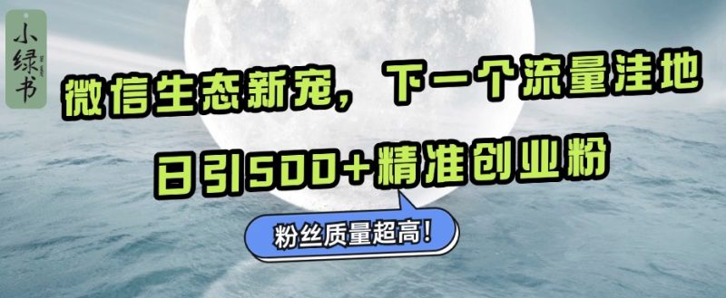 微信生态新宠小绿书：下一个流量洼地，粉丝质量超高，日引500+精准创业粉，-玖玖资源网