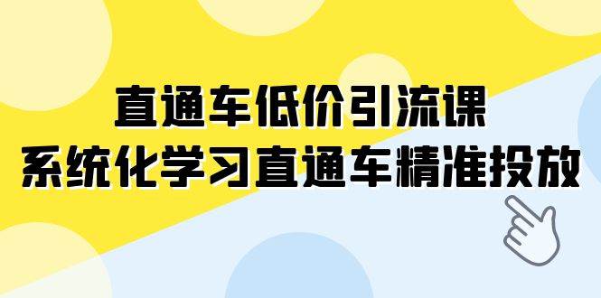 直通车-低价引流课，系统化学习直通车精准投放（14节课）-玖玖资源网