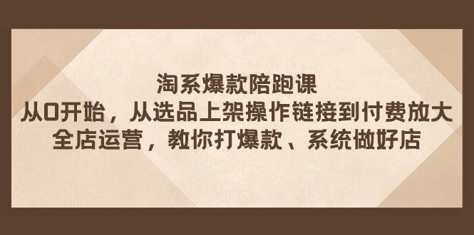 淘系爆款陪跑课 从选品上架操作链接到付费放大 全店运营 打爆款 系统做好店-玖玖资源网