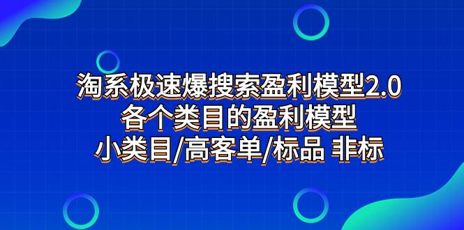 淘系极速爆搜索盈利模型2.0，各个类目的盈利模型，小类目/高客单/标品 非标-玖玖资源网