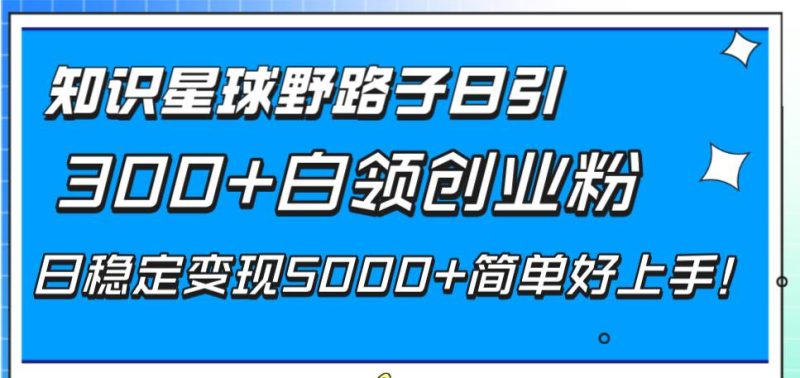 知识星球野路子日引300+白领创业粉，日稳定变现5000+简单好上手！-玖玖资源网