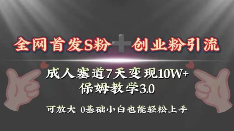 全网首发s粉加创业粉引流变现，成人用品赛道7天变现10w+保姆教学3.0-玖玖资源网