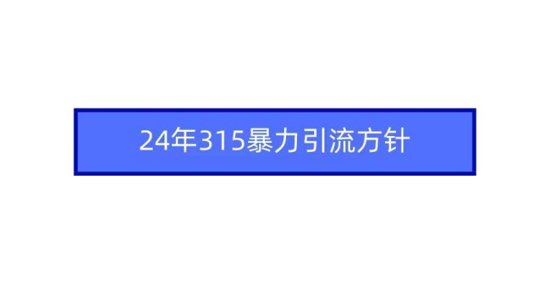 2024年315暴力引流方针-玖玖资源网