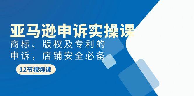 亚马逊-申诉实战课，商标、版权及专利的申诉，店铺安全必备-玖玖资源网