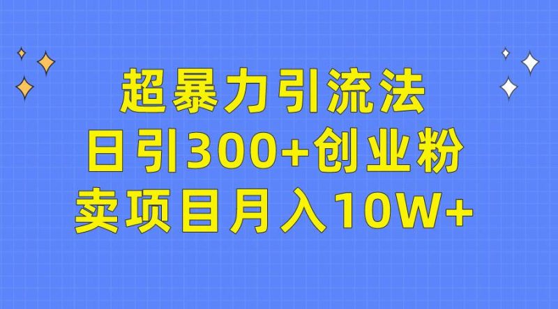 超暴力引流法，日引300+创业粉，卖项目月入10W+-玖玖资源网