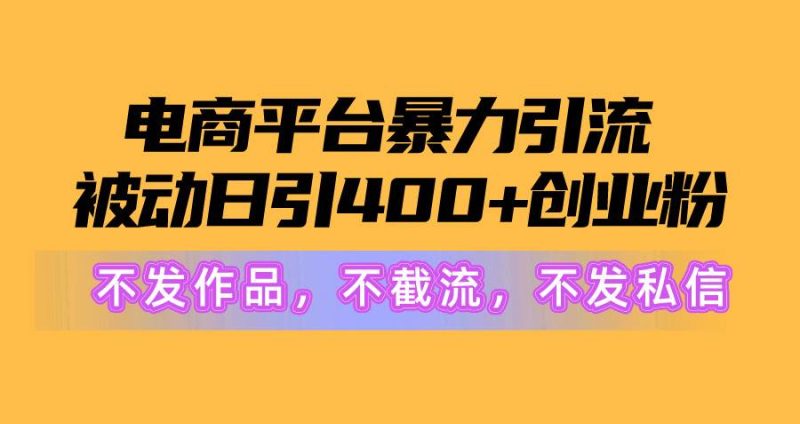 电商平台暴力引流,被动日引400+创业粉不发作品，不截流，不发私信-玖玖资源网