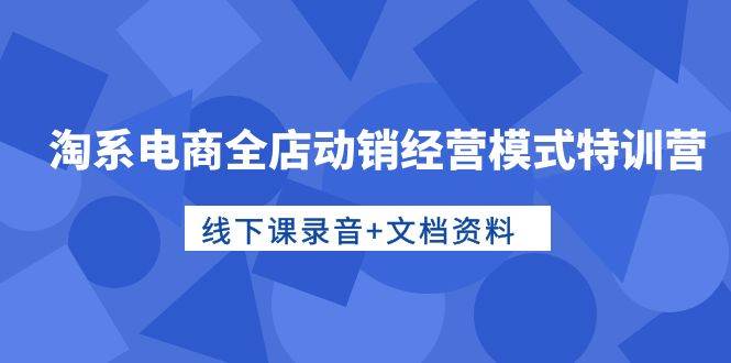 淘系电商全店动销经营模式特训营，线下课录音+文档资料-玖玖资源网
