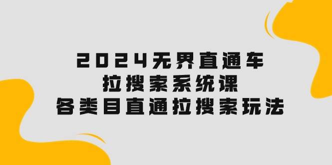 2024无界直通车·拉搜索系统课：各类目直通车 拉搜索玩法！-玖玖资源网