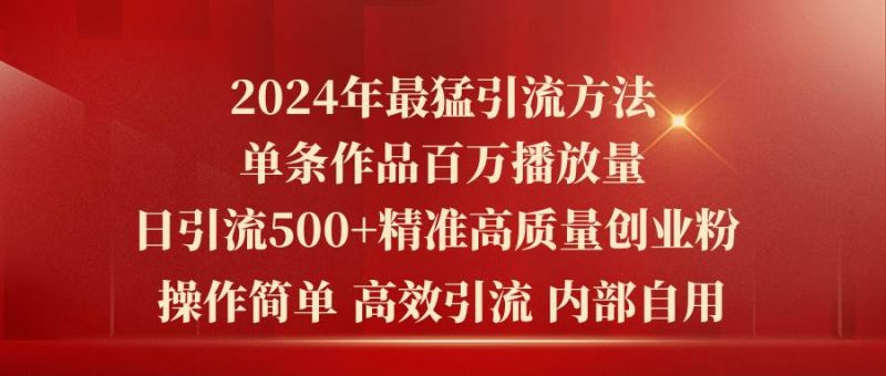 2024年最猛暴力引流方法，单条作品百万播放 单日引流500+高质量精准创业粉-玖玖资源网