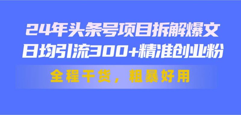 24年头条号项目拆解爆文，日均引流300+精准创业粉，全程干货，粗暴好用-玖玖资源网