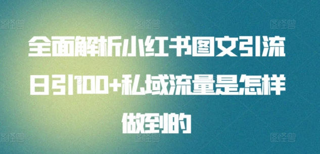 全面解析小红书图文引流日引100私域流量是怎样做到的-玖玖资源网