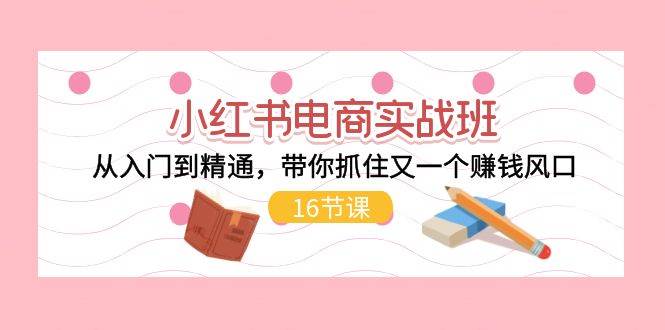 小红书电商实战班，从入门到精通，带你抓住又一个赚钱风口（16节）-玖玖资源网