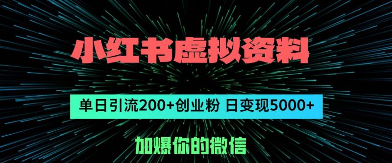 小红书虚拟资料日引流200+创业粉，单日变现5000+-玖玖资源网