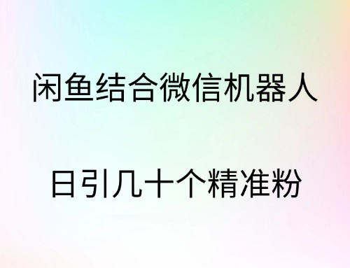 闲鱼结合微信机器人，日引几十个精准粉-玖玖资源网