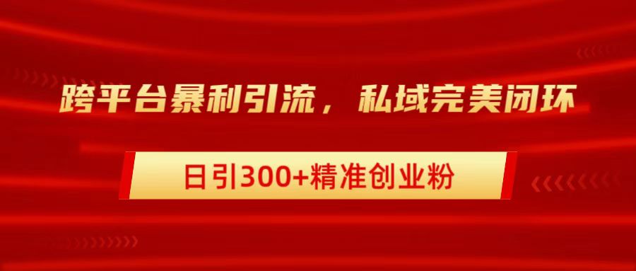 跨平台暴力引流，私域完美闭环，日引300+精准创业粉-玖玖资源网