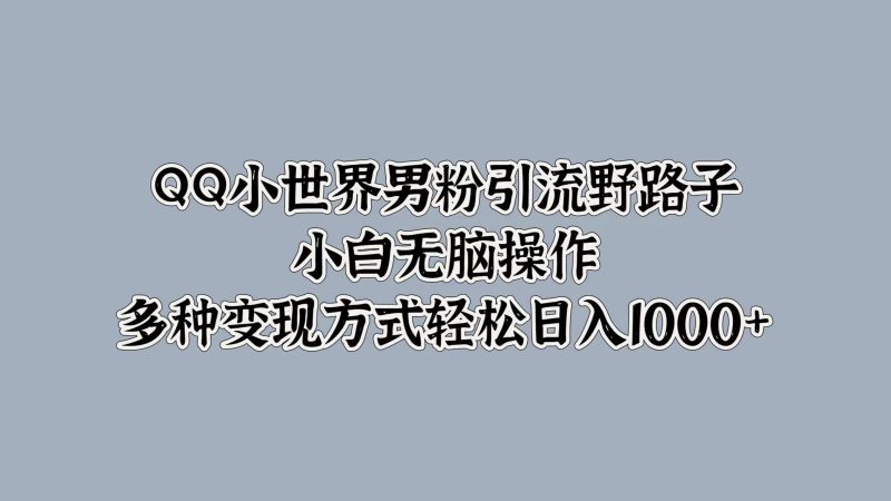 QQ小世界男粉引流野路子，小白无脑操作，多种变现方式轻松日入1000+-玖玖资源网