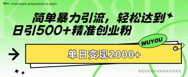 简单暴力引流轻松达到日引500+精准创业粉，单日变现2k【揭秘】-玖玖资源网