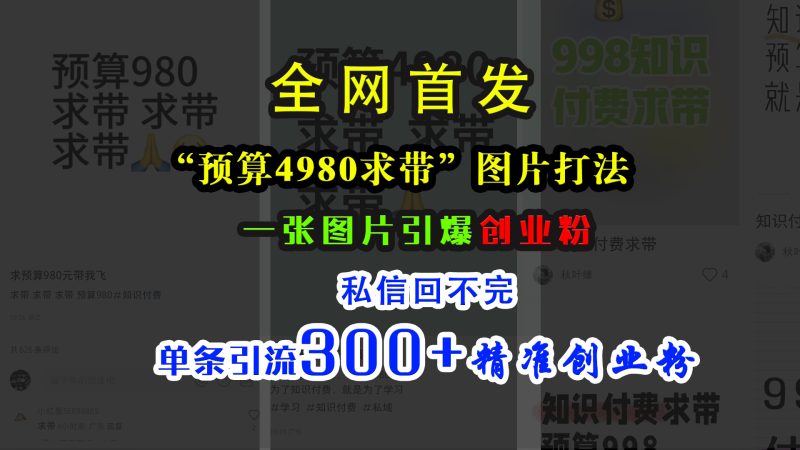 小红书“预算4980带我飞”图片打法，一张图片引爆创业粉，私信回不完，单条引流300+精准创业粉-玖玖资源网