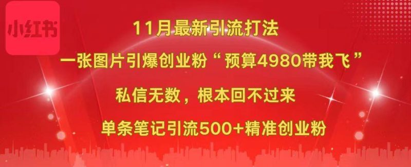 小红书11月最新图片打法，一张图片引爆创业粉“预算4980带我飞”，私信无数，根本回不过来，单条笔记引流500+精准创业粉-玖玖资源网