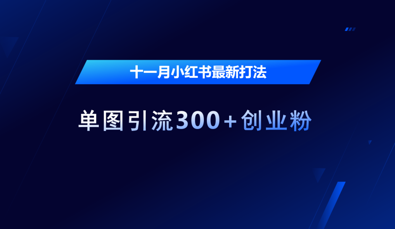 十一月，小红书最新打法，单图引流300+创业粉-玖玖资源网