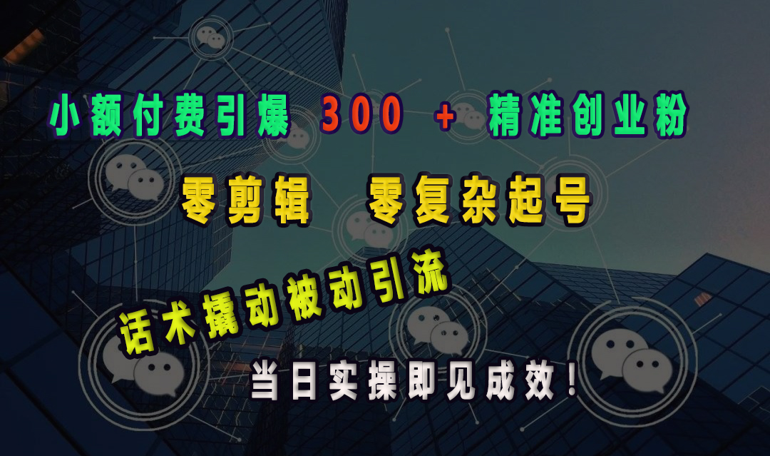 小额付费引爆 300 + 精准创业粉，零剪辑、零复杂起号，话术撬动被动引流，当日实操即见成效！-玖玖资源网