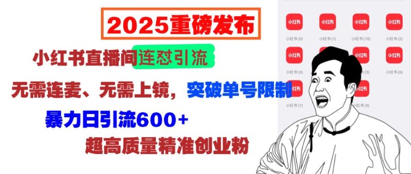 2025重磅发布：小红书直播间连怼引流，无需连麦、无需上镜，突破单号限制，暴力日引流600+超高质量精准创业粉-玖玖资源网