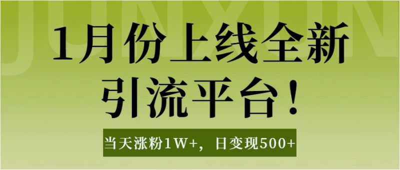 1月上线全新引流平台，当天涨粉1W+，日变现500+工具无脑涨粉，解放双手操作简单-玖玖资源网
