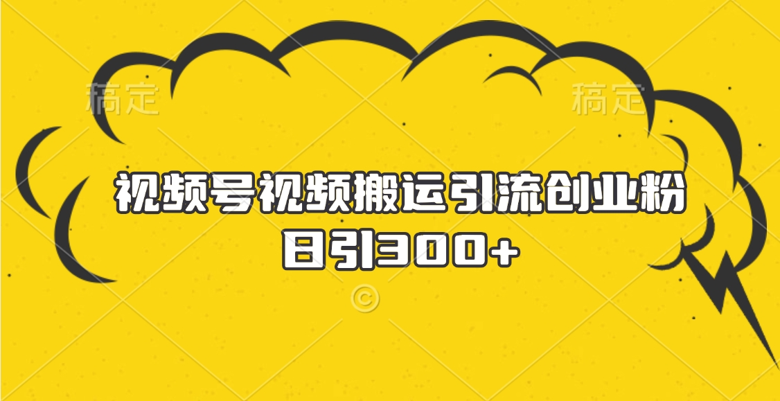 视频号视频搬运引流创业粉，日引300+-玖玖资源网