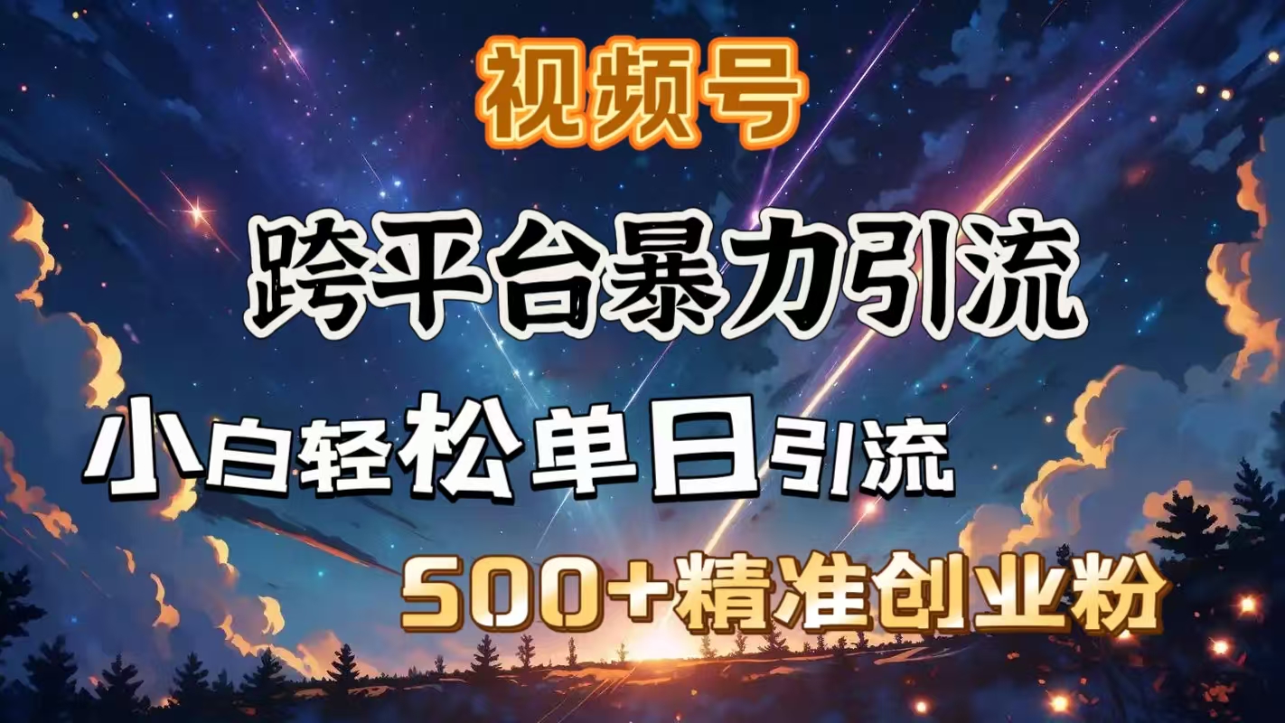 视频号跨平台暴力引流，小白轻松单日引流500＋精准创业粉-玖玖资源网