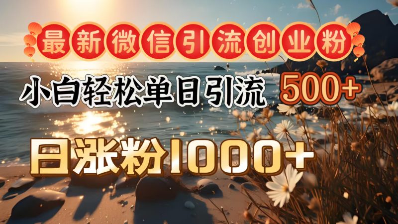 最新微信引流创业粉  ，小白单日轻松引流500＋，日涨粉1000＋-玖玖资源网
