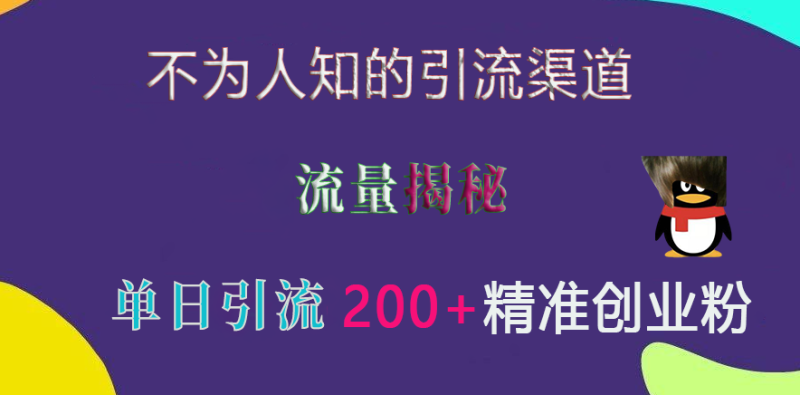 不为人知的引流渠道，流量揭秘，实测单日引流200+精准创业粉-玖玖资源网