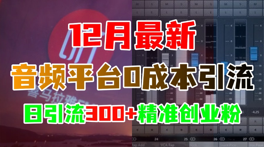 12月最新：音频平台0成本引流，日引300+精准创业粉-玖玖资源网