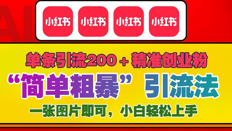 12底最新小红书单日引流200+创业粉，“简单粗暴”引流法，一张图片即可操作，小白轻松上手，私信根本回不完-玖玖资源网