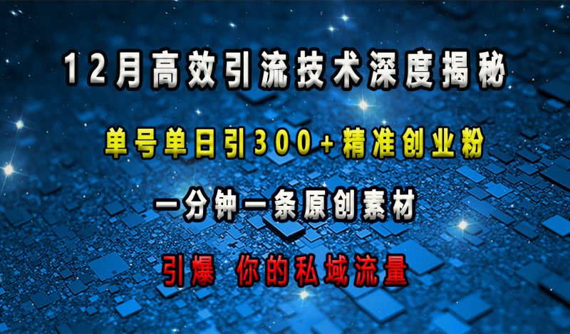 12月高效引流技术深度揭秘 ，单号单日引300+精准创业粉，一分钟一条原创素材，引爆你的私域流量-玖玖资源网