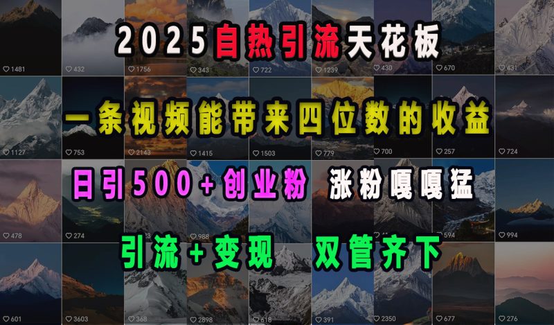 2025自热引流天花板，一条视频能带来四位数的收益，引流+变现双管齐下，日引500+创业粉，涨粉嘎嘎猛-玖玖资源网