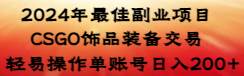 2024年最佳副业项目 CSGO饰品装备交易 轻易操作单账号日入200+-玖玖资源网