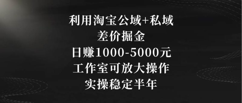 利用淘宝公域+私域差价掘金，日赚1000-5000元，工作室可放大操作，实操…-玖玖资源网