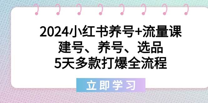 2024小红书养号+流量课：建号、养号、选品，5天多款打爆全流程-玖玖资源网