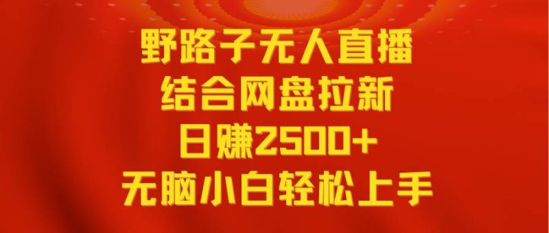 无人直播野路子结合网盘拉新，日赚2500+多平台变现，小白无脑轻松上手操作-玖玖资源网
